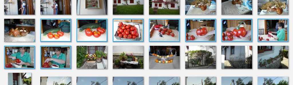 capture picasa tomates